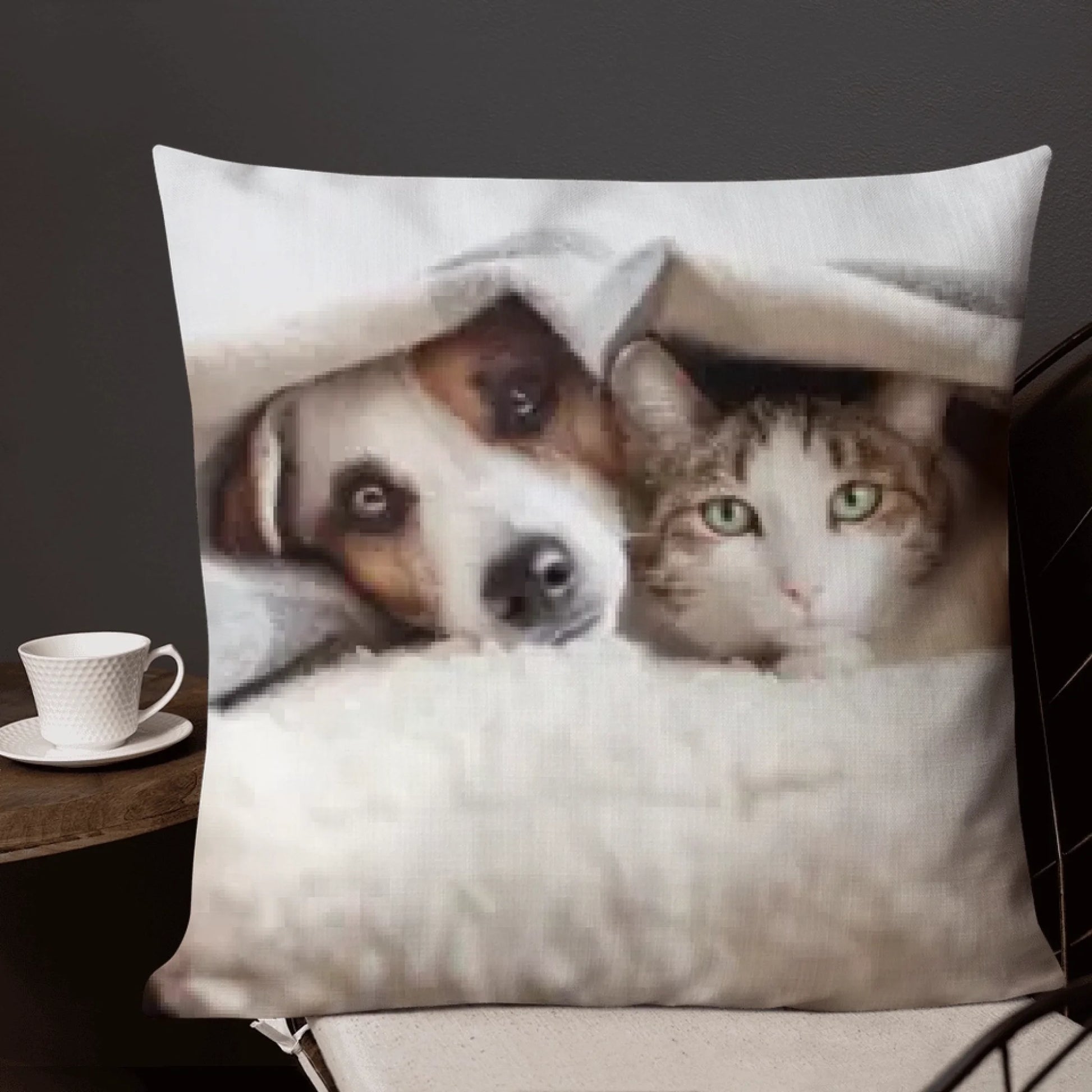 67bda30f005da.webp